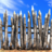 Wall