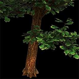 Trees