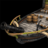 Fast Fire Ship is a bad counter to Hulk