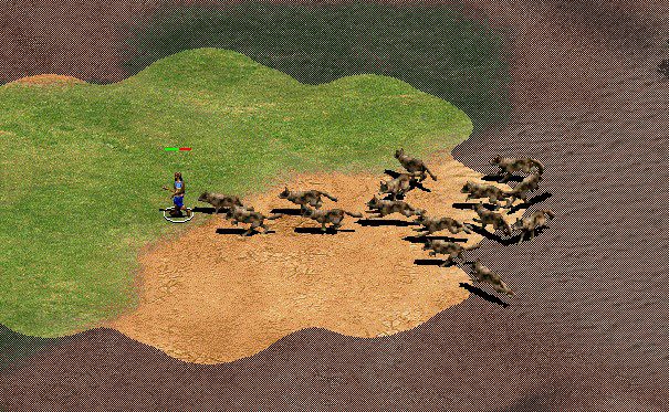 wolves raid age of empires 2