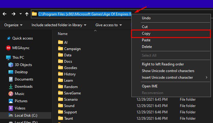 copy age of empires 2 path