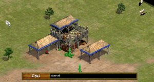 age of empires 4 cheats pc