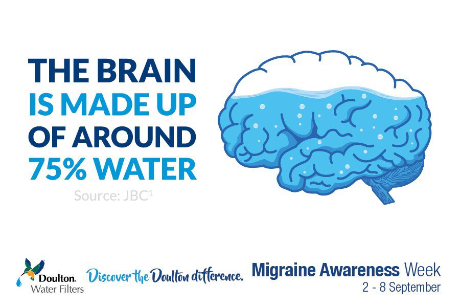 brain is 75 percent water