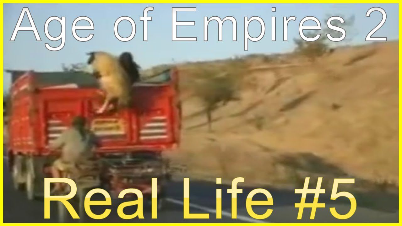 Age Of Empires 2 In Real Life #5