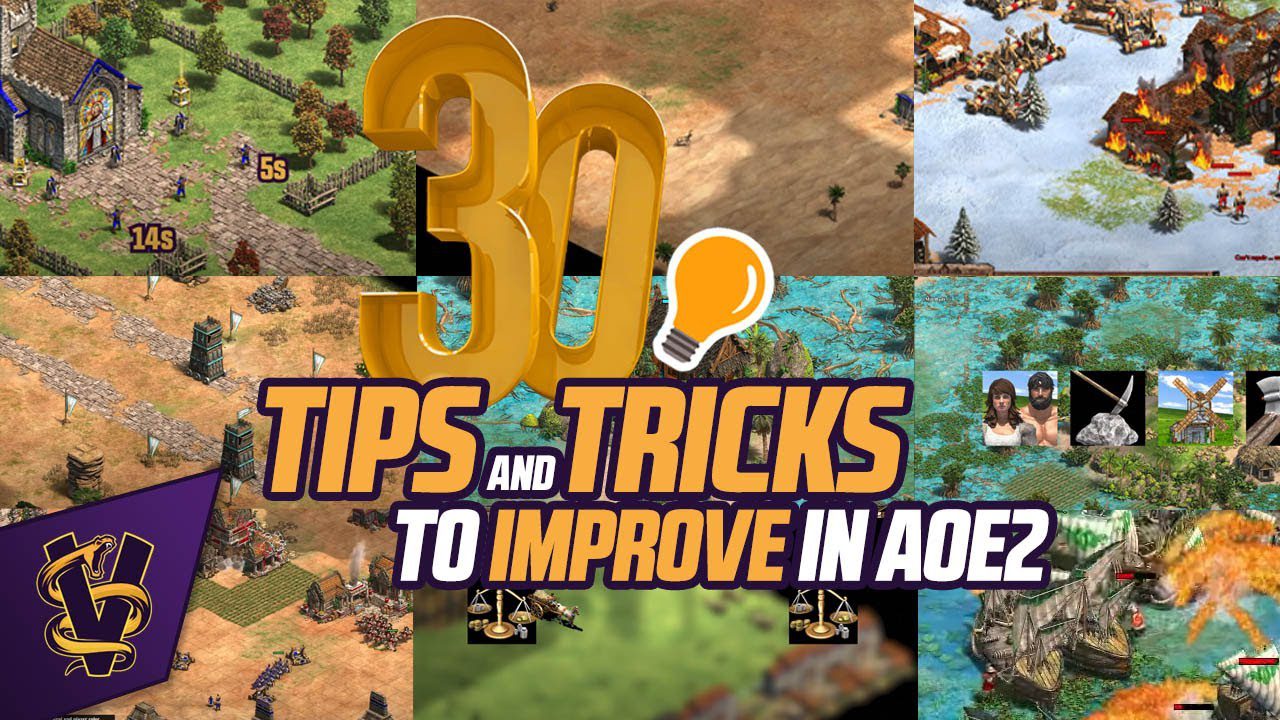 Thirty Strategies to Enhance Performance in Age of Empires II