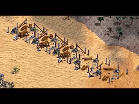 Not an Age of Empires II Meme