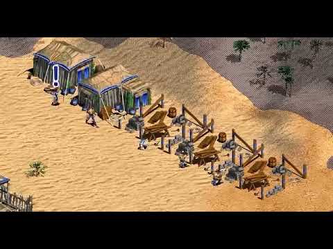 Not an Age of Empires II Meme