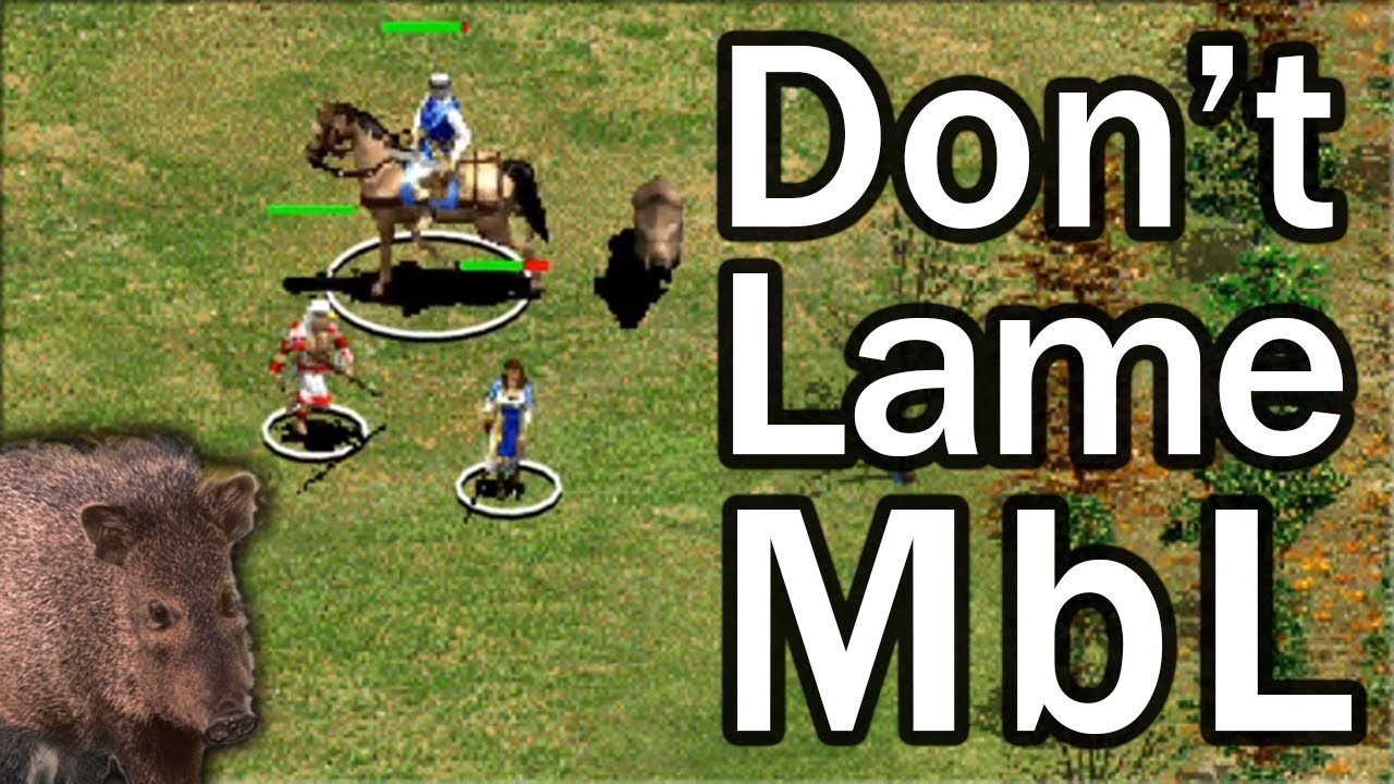Ace of Empires Two Pro Player One Versus One! Avoid Playing Poorly in the MbL!