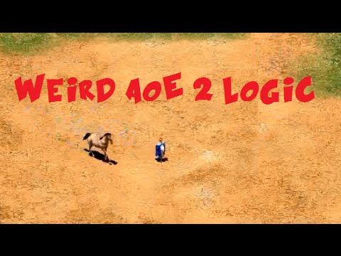 Twenty Bizarre Thinking Instances in Age of Empires II