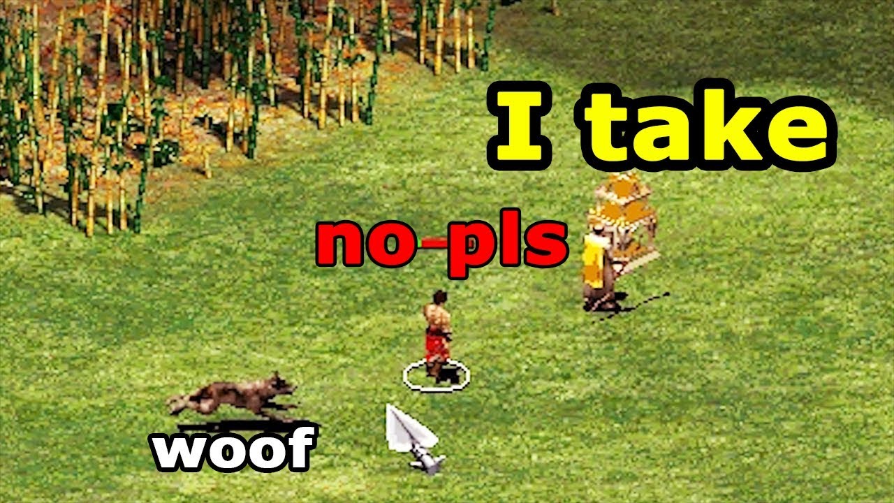 WOOLOLOO – Age of Empires II Funny Gameplay