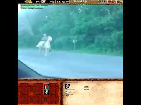 Age of empires meme