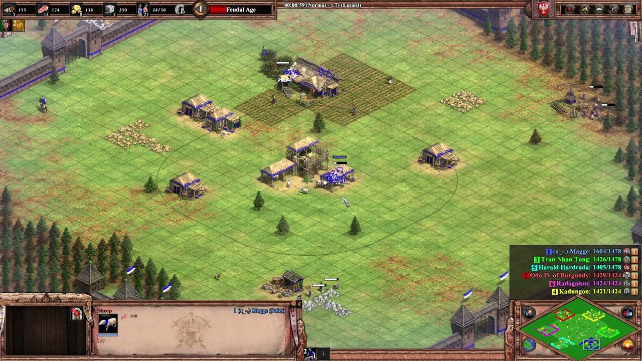 AoE2 Fast Castle Drop Buildorder for Poles