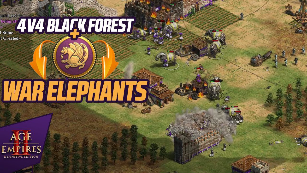Elephants or Nothing Elephants or Nothing