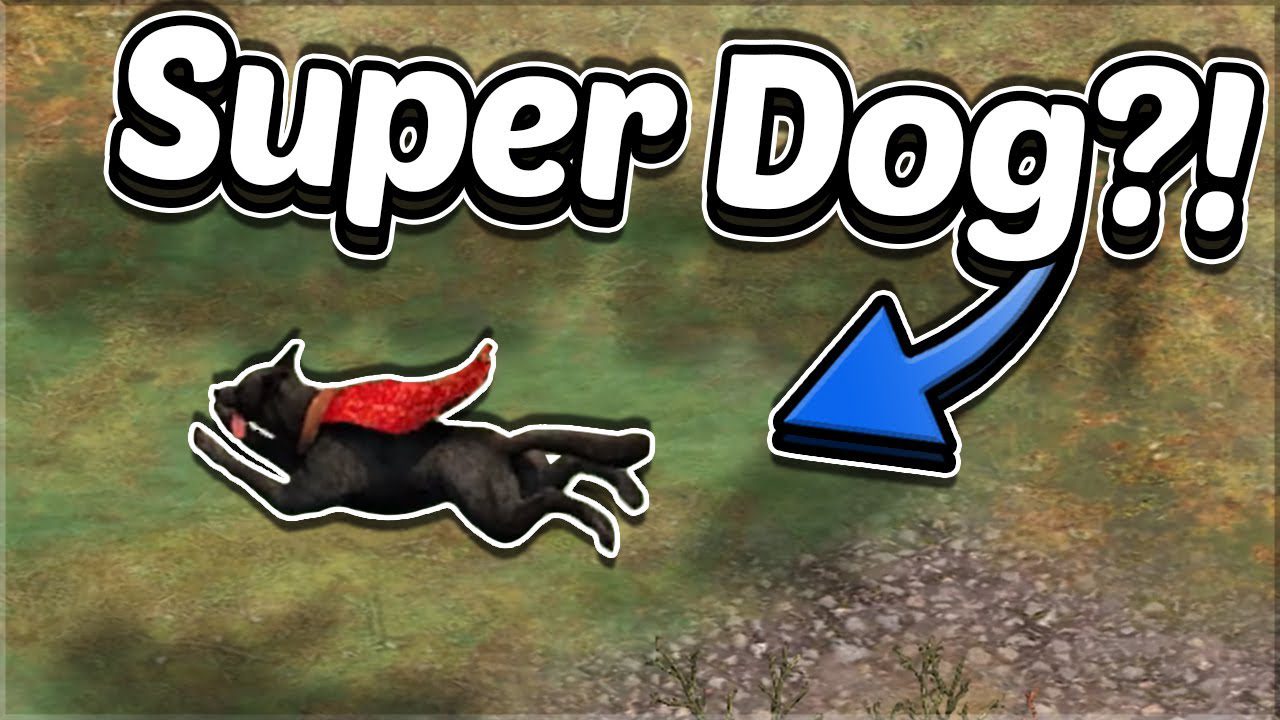 Flying Dog in AoE2? Flying Dog in AoE2?