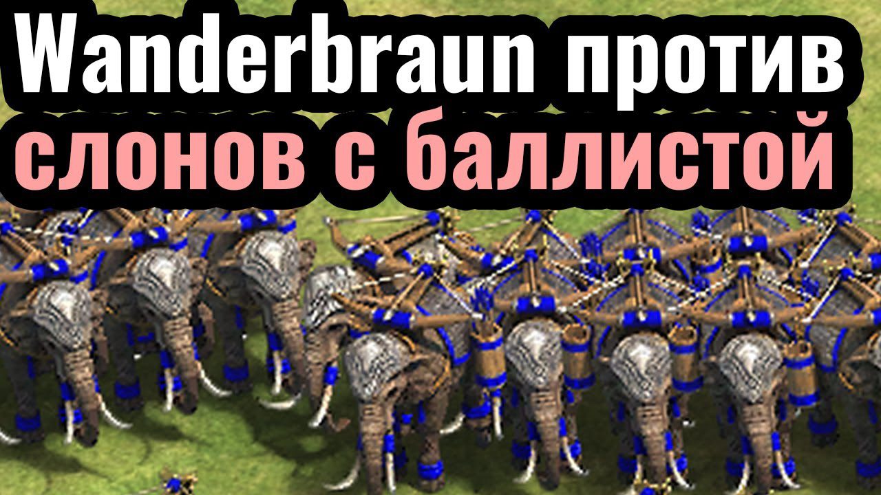 Wanderbraun выживает на Арене за Персию в Age of Empires 2