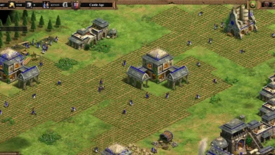 The Fast Castle Boom Build Order (27+2) The Fast Castle Boom Build Order (27+2)